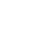 Florida Icon